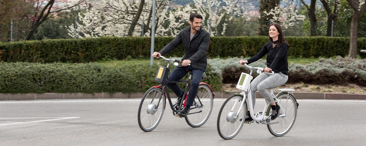 Bicicletta elettrica